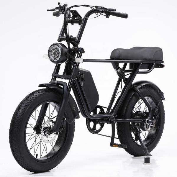 48V 750W Motor Electric Hybrid Bike Full Suspension 20 Inch Fat Tire Ebike  17Ah Battery
