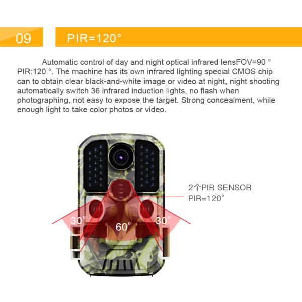 Infrared Ip65 1080p Waterproof HD Night Vision Wildlife Camera 20 Meters Game