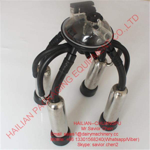 la machine à traire 240CC partie la vache trayant le groupe blanc et noir