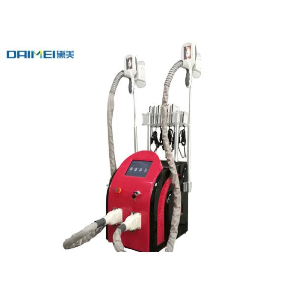 Multifunctional Cryolipolysis Slimming Machine / Belly Fat Removal Machine
