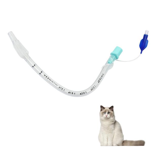 Veterinary Reinforced Endotracheal Tube Medical Grade PVC with Olive-Shaped Balloon Transparent Anesthesia Catheter for Animal Hospitals