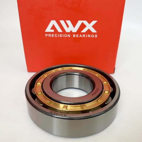 222.25mm OD Capacity Plastic Caged / Em Cylindrical Roller Bearing