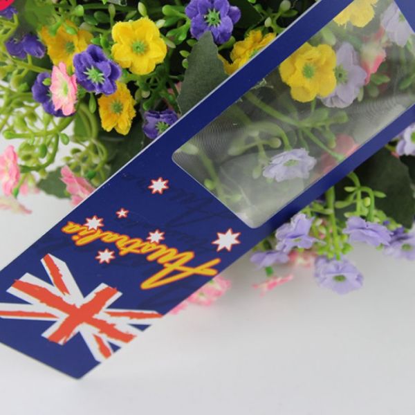 3d Mobile Phone Screen Magnifier Customized Size PVC Magnifier Card Type , Transparent Magnifying Glass With Fresnel Lens
