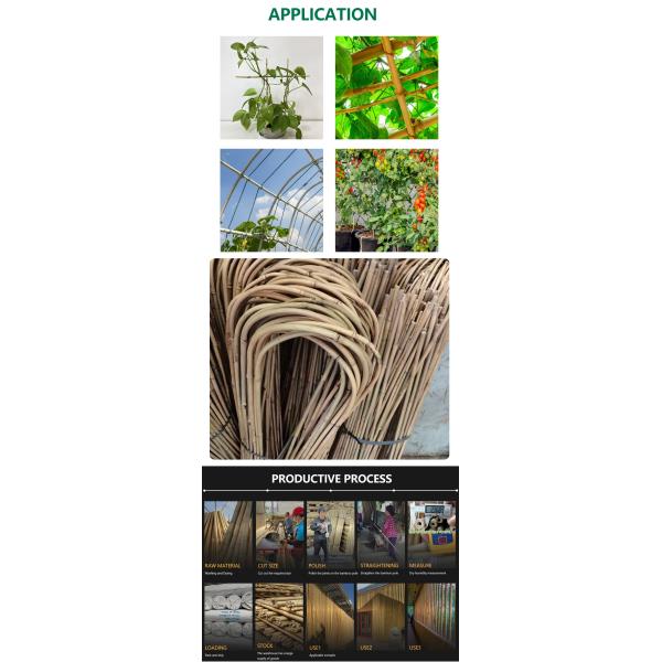 Бамбук 100% сырья укрепляет 6m обручи формы u Handcrafted цветок поддержки шпалеры