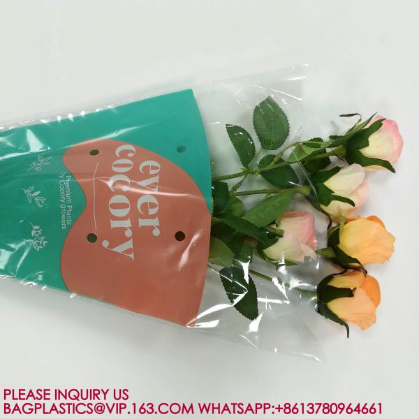 biodegradable Trapezoid Cellophane Vegetable Bags Customize Logo Lettuce Packaging Bag