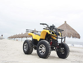 Raw Materials Purchasing And Logistics , Transport And Logistics Management