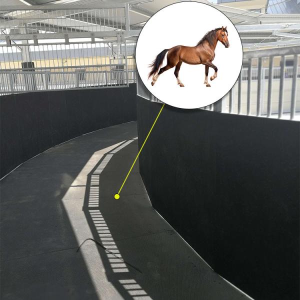 Wearing Rubber Horse Walker Mats Hore Worker Rubber Horse For Horse Running And Walk