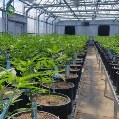10m Plastic Shed Automated Light Deprivation Greenhouse For Mushroom