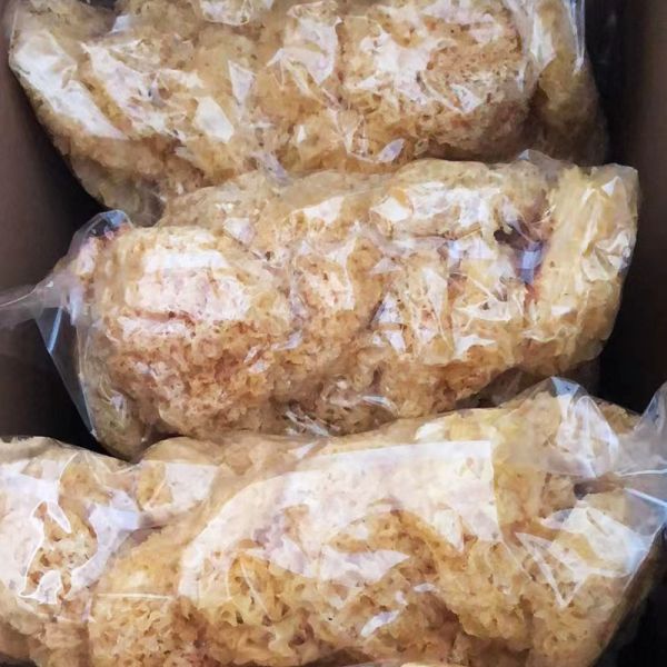 Premium Mushroom Tremella Organic Snow Fungus White Fungus for Cantonese Dessert Cooking or Restaurant Use