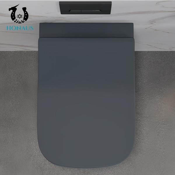Luxury Bathroom Wall Hung Toilet Bowl Dual Flush 505*305*360mm Nano Glaze