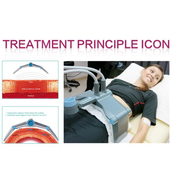 BTL Vanquish Me Body Shaping System Slimming / ME Abdomen Fat Loss Machine