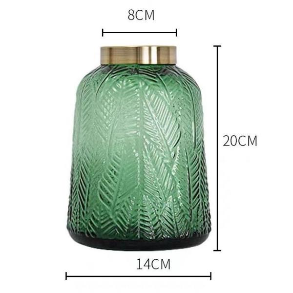 Зеленый прозрачный гидропонный стеклянный ваза для дома