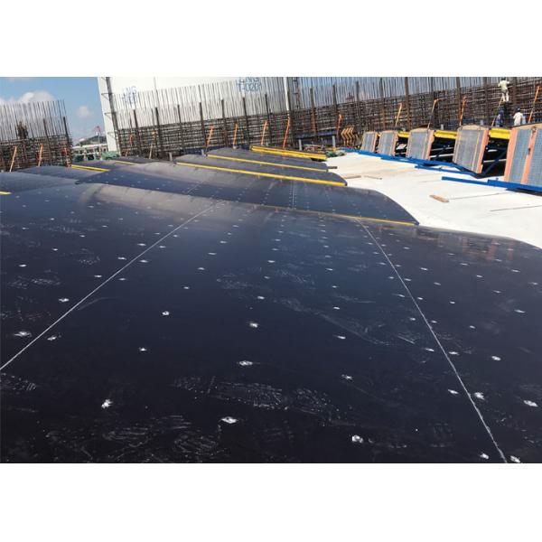 15mm 18mm 21mm Phenolic Coated Plywood , Phenolic Ply Board With Smooth Surface