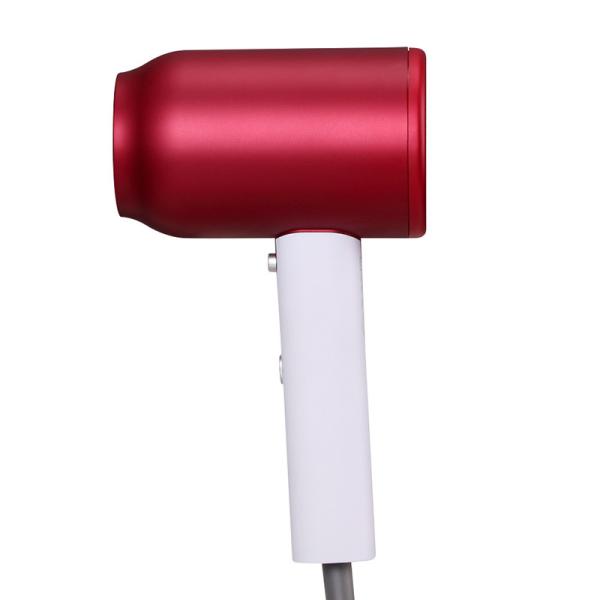 1500W Professional Ionic Hair Dryer 50/60 Hz Portable  for Hair Care