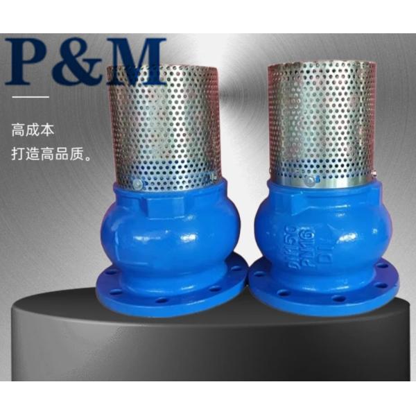 Ductile iron ANSI flanged foot valve