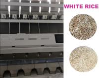 Canales de la máquina 448 del clasificador del color del CCD del arroz blanco 7 canales inclinados