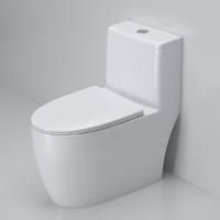 Ceramic WC Sanitary Ware One Piece Toilet Electronic Automatic Bathroom Smart One Piece Floor Smart Intelligent WC Toilets