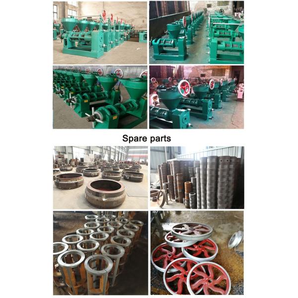 High Capacity Neem Oil Extraction Machine Perfect for Pressing 950KG of Oil Seeds in Pakistan