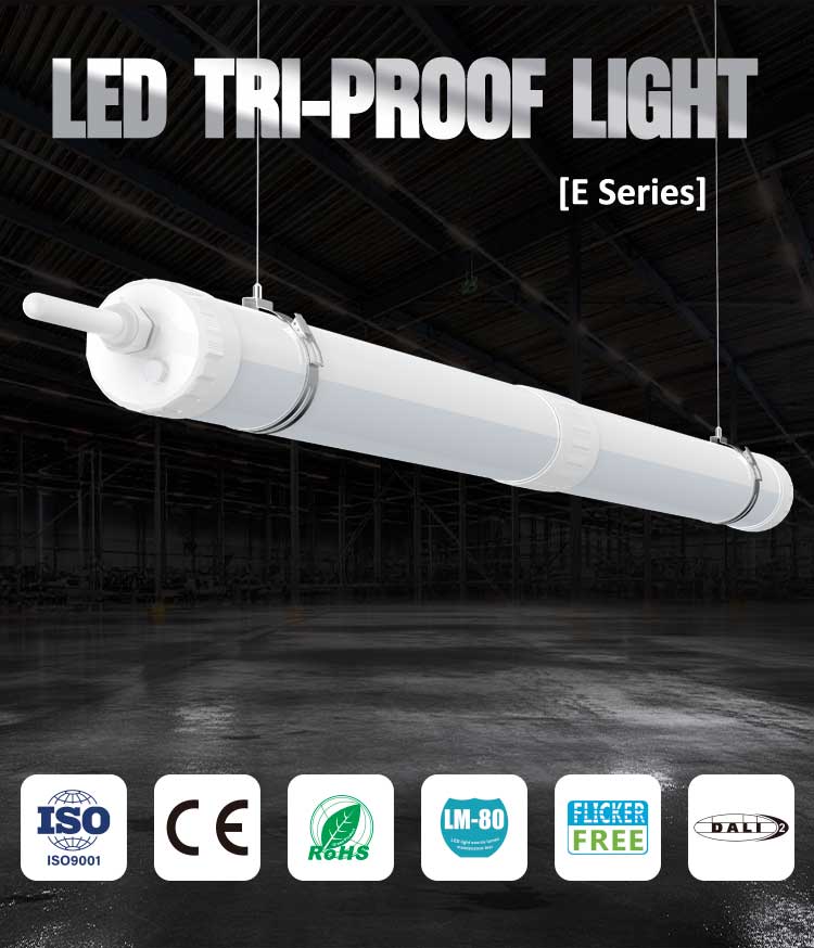 Custom IP65 Waterproof LED Tube Light with 50,000 Hours Lifespan and Dimmable Function for Industrial Use