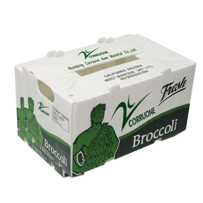 Customized Fruit and Vegetable Packaging Corrugated Plastic Box Corrugated Storage PP Packing Boxes