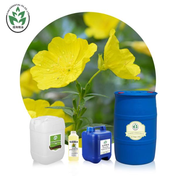 Cas 65546-85-2 Massage Essential OIls Evening Primrose Oil Rheumatoid Arthritis Treatment