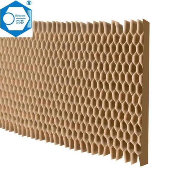 20mm 25mm Paper Honeycomb Core For Doors 900x2200mm
