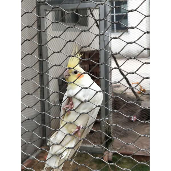 Knotted Stainless Steel Aviary Mesh Poultry Netting Zoo Animal Rope Mesh