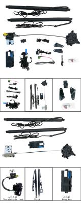 Upper Suction Lock DS-141 Ford Electric Tailgate 2016+ Year