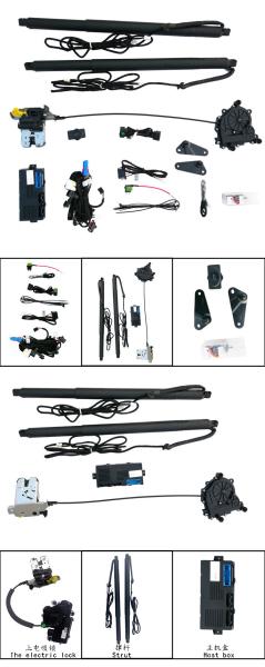 Upper Suction Lock DS-141 Ford Electric Tailgate 2016+ Year