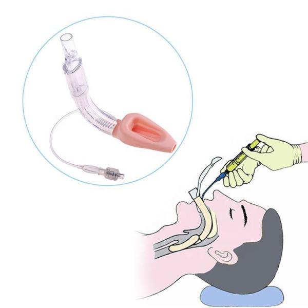 Good Sealability Medical Grade Double Lumen Silicone Laryngeal Mask Airway 