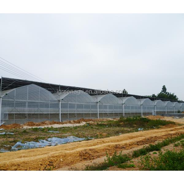 IGreen Industrial Greenhouse Irrigation System Greenhouse For Snail Farming