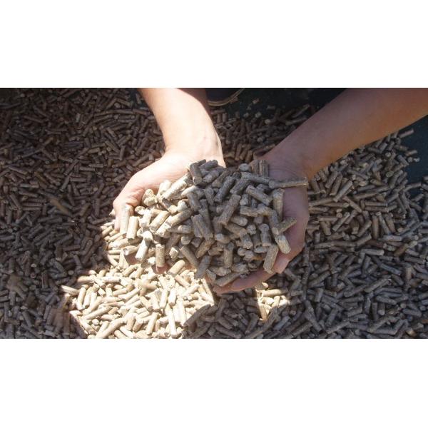 Flat Die Biomass Wood Pellet Machines / Making Wood Pellets At Home Elect Motor Driven