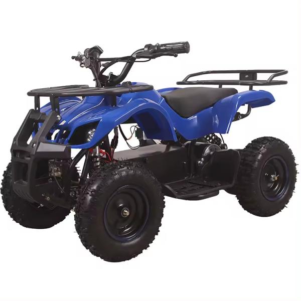 500W Mini Quad ATV for Kids 800W 1000W Electric Powered at Transmission CHAIN DRIVE