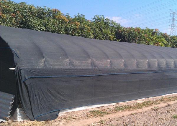 No Welding Mushroom Outdoor Plastic Greenhouse Plastic Uv Greenhouse