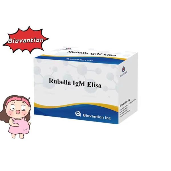 Rubella IgM ELisa Test Kit  Fertility Eugenic Ten Pregnant Women Use
