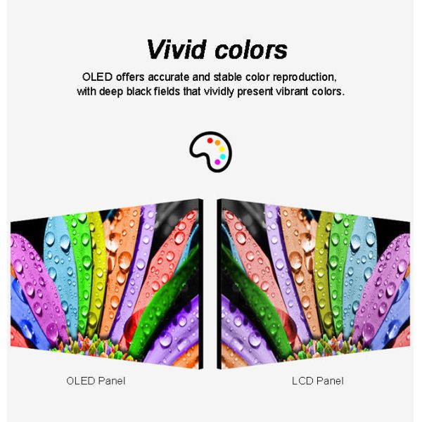 Full HD 55 Touch Screen See Through OLED Advertising Display LG Transparent OLED Screen Price