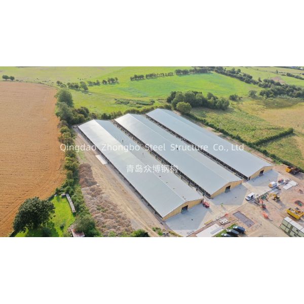 Customizable Steel Structure Poultry House with Durable Prefabricated Frame for Easy Assembly Chicken Farming