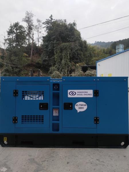 Standby Genset 44kVA 35kW Silent Diesel Genset Couple With Brushless Alternator