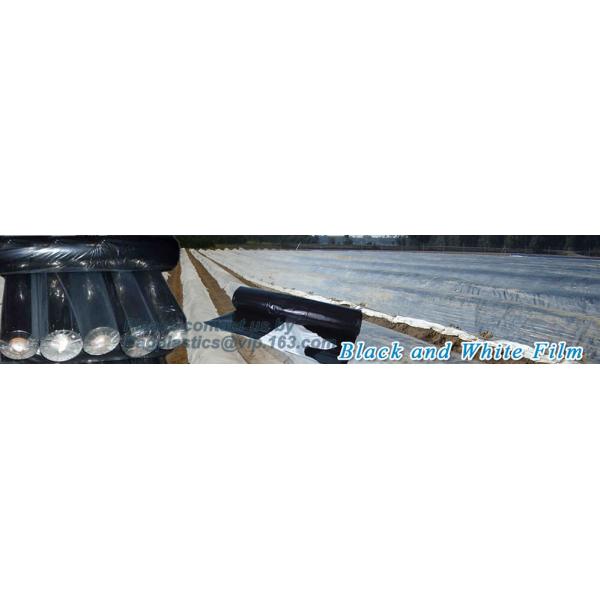 Agricultural Mulching Film Used for Fruit, Flower and Vegetable