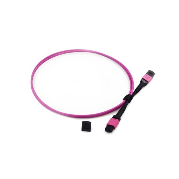 MM / SM 10 GB OM3 MPO To LC Fiber Cable 0.9mm Fanout Patch Cables