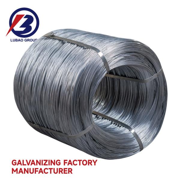 Q195/Q235/SAE1006-1008 Eletro galvanizado bobina Ferro fio de aço Filamento de amarre fio de ligação para Rebar Dubai Nylon revestido BWG 18