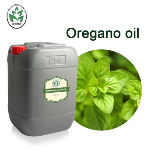 Cas 8007 11 2 Wild Oregano oil organic 100% pure natural bulk With High Concentrate Carvacrol