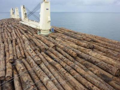 Un navire de chargement de troncs en Chine service portuaire câble en acier avec pouce et boucle d'oeil doux 6x24 FC API 9A 22mm 24mm 26mm
