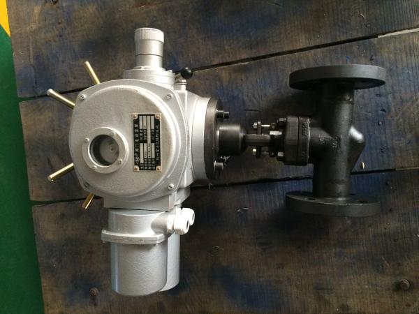 Threaded End Forged Steel Gate Valve 800LB Conventional Port Handwheel Operation