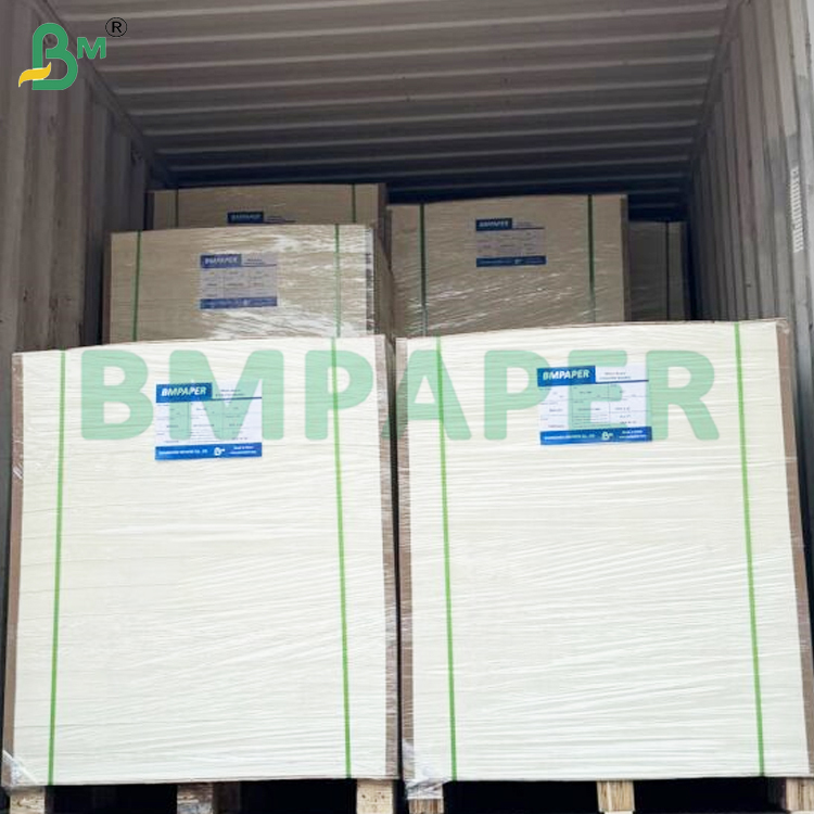 Food Grade Food Container Paper Sheets 190gsm + PE Coating