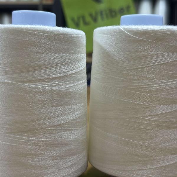 Eco-Friendly PVA Water Soluble Thread with Low Shrinkage and 20/2 Yarn Count for Sewing and Embroidery