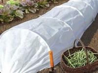 Agriculture Tissu de barrière contre les mauvaises herbes pour maintenir la température Tissu de lutte antiparasitaire pour grossiste