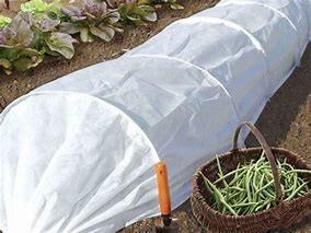 Agriculture Weed Barrier Fabric For Keep Temperature Pest Control Cloth For Wholesaler