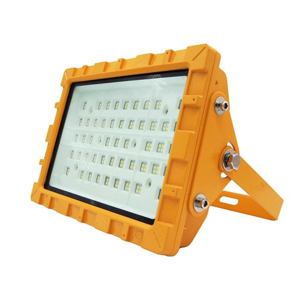 Portable Explosion Proof Lamp with 2700-6500K Color Temperature and IP65 Protection for Hazardous Locations