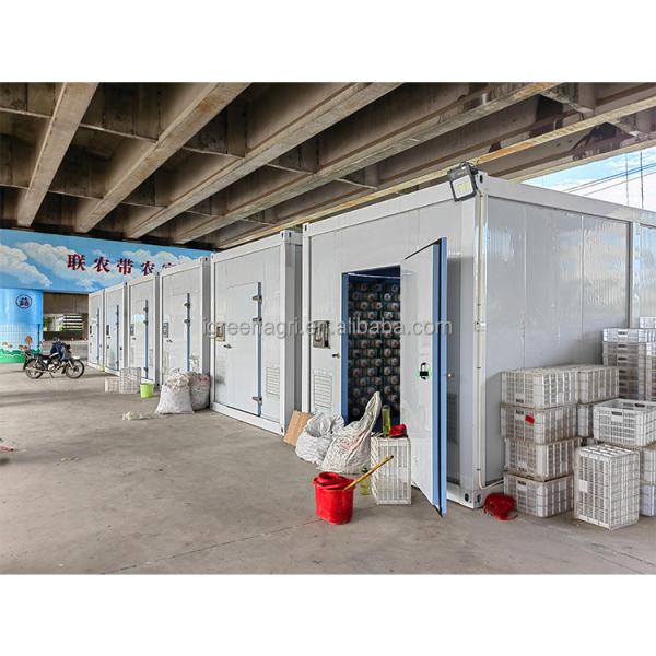 Mushroom Growing Multi Layer Greenhouse Insulation Board Mushroom Growing Kit